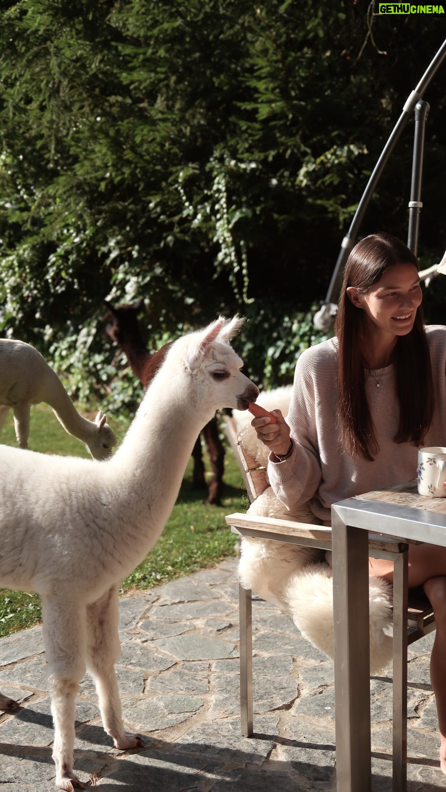Nikol Švantnerová - 3K Likes - Breakfast with alpakas🦙
Takové ráno si prosím každý den, bylo to boží!
#cutebreakfast
📍 @zrub_karin