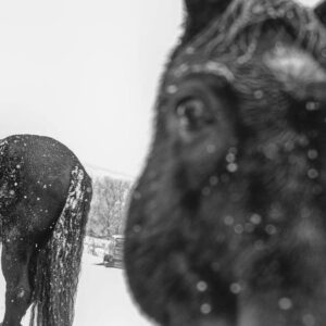 Nóra Trokán Instagram - Ma van a fotográfia világnapja. Itt van pár felvétel az elmúlt évekből, amik kedvesek a szívemnek. 
@noratrokanphoto 

Today is world photography day. 
Here are a few photos of mine from the past few years that are special to me. 🫶🏼
