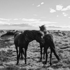 Nóra Trokán Instagram - Ma van a fotográfia világnapja. Itt van pár felvétel az elmúlt évekből, amik kedvesek a szívemnek. 
@noratrokanphoto 

Today is world photography day. 
Here are a few photos of mine from the past few years that are special to me. 🫶🏼