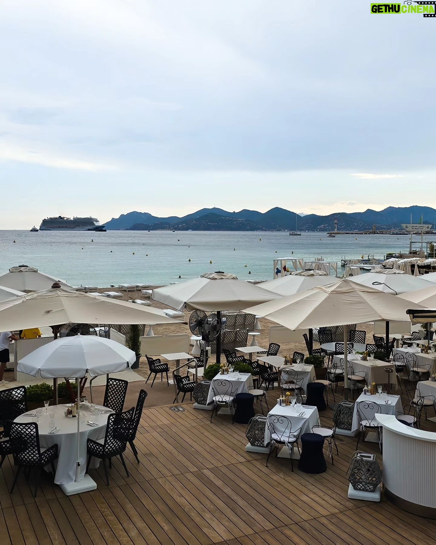 Olívia Ortiz - 7.4K Likes - From Cannes
