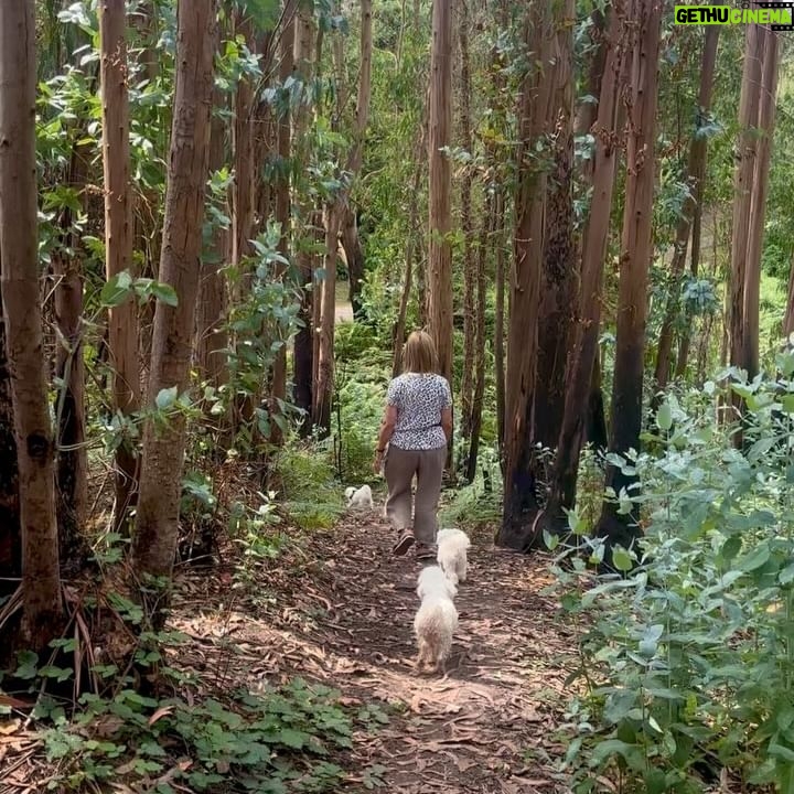 Paula Prendes - 5.9K Likes - El Verano del Norte tralará! Que el Amor y la Intuición guíen tu conocimiento…Y poco más que decir. Mismos escenarios, mismos afectos 🏠 @carmen_prendes @belenmartineztuero