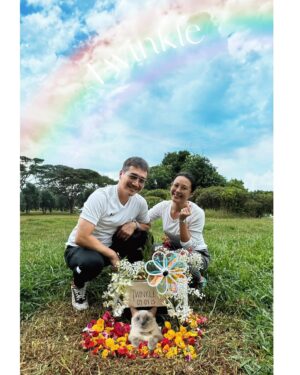 Priscelia Chan Instagram - Thanks Rid @pleasegetrid for creating this video and the pics ..you are the best 🐱daddy!
It had been a year since you passed the rainbow bridge Twinkle… we love you and miss you… your manja, your meows and your quiet touch ..
Coming together again to clean up your resting place and decorated it with flowers brought some comfort 💛
Thank you Kakak Serin @rinwarhol for the lovely and delicious home cooked lunch too 💛☺️ you had been the best 🐱 mummy ❤️Hugs..

#twinkleneko