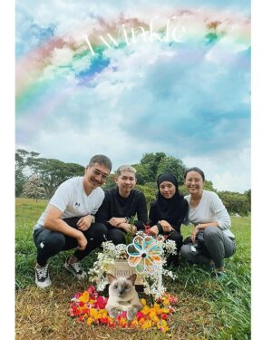 Priscelia Chan Instagram - Thanks Rid @pleasegetrid for creating this video and the pics ..you are the best 🐱daddy!
It had been a year since you passed the rainbow bridge Twinkle… we love you and miss you… your manja, your meows and your quiet touch ..
Coming together again to clean up your resting place and decorated it with flowers brought some comfort 💛
Thank you Kakak Serin @rinwarhol for the lovely and delicious home cooked lunch too 💛☺️ you had been the best 🐱 mummy ❤️Hugs..

#twinkleneko