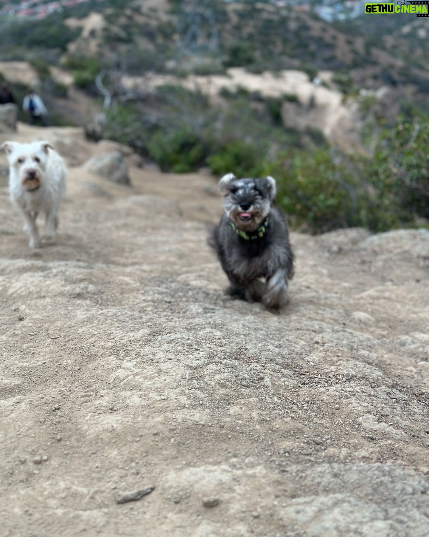 Priscilla Vargas - 43K Likes - Mi primera cumbre!!!!!🙌🏻 ⛰️
Hasta que lo logré. Porque más vale tarde que nunca.
Gracias @rodperezvergara y Simona🐶 por la paciencia y entusiasmo.
La más feliz es la Chelita 🐾