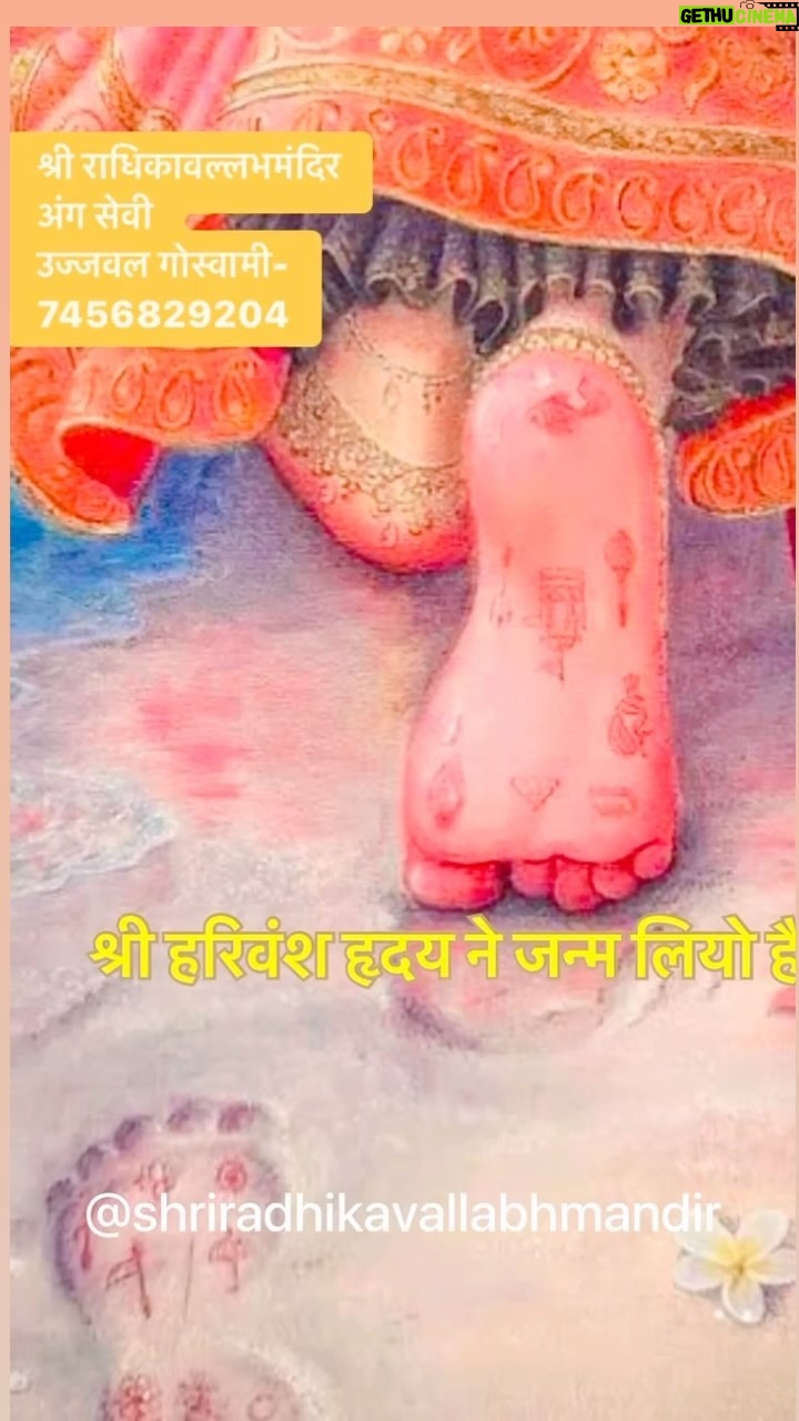Priyanka Pandit - 7.4K Likes - #radheradhe #vrindavan #radhikavallabh💖💙🇮🇳
#charan #radhikavallabh #Vrindavan ❤️
#radhe #radhe #krishna💙💖🙏🏻✨
@shriradhikavallabhmandir 🙏🏻💙❤️🥀
#instagood #instagram #instalike 🙏🏻🙏🏻
#insta #instadaily #reels 💙💙💙
#reelsinstagram #yuvraj #ujjawalgoswami
#radhikavallabh #radhikavallabhtemple
#radhikavallabhmandir #radhikavallabhlal
#vrindavan #vrindavandham #bankeybihari
#radhavallabh #radhikavallabh
#shrihitujjawalgoswami #yuvraj #vivah
#shrihitujjawalgoswami #fyp #facebookreels
#trending #trend #facebook