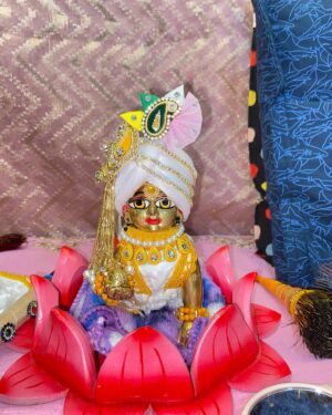 Priyanka Pandit Instagram - Janmashtami shringar darshan😍
Lala ke prakatya ki mangal badhai😍
Poshak from @_kanha__lovers_