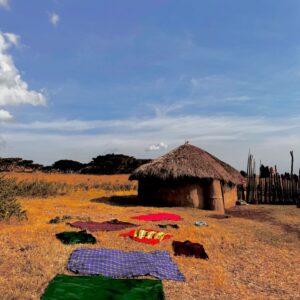 Race Wong Instagram - THE MAASAI VILLAGE EXPERIENCE 
🛖🛖🐐🐐🤎🛖🐄🐄

We had a lovely day hiking to the Maasai village, where we immersed ourselves in their unique way of life. The Maasai people, known for their vibrant culture and colorful attire, welcomed us warmly into their community. 

During our visit, we had the opportunity to learn about their traditional living conditions, witnessing firsthand their close connection to nature and the land. Our boys engaged in a friendly game of football with the Maasai, experiencing the joy and camaraderie that sports can bring across cultures.

As the day progressed, we were invited to join in traditional Maasai dances, where we moved to the rhythmic beats of their vocal and embraced the spirit of their heritage. It was a truly enriching experience that allowed us to appreciate and respect the traditions of the Maasai people.

#Africa #maasai #maasaivillage #maasaidance #footballgame  #rosannewong #drderekbaram #racewong