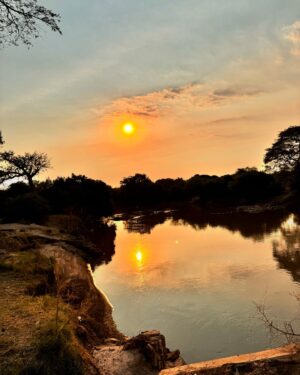 Race Wong Instagram - GRUMETI GOLDEN HOUR 🌅🧡✨

As the sun dips below the horizon in the Grumeti region of the Serengeti, it bathes the sky in vibrant reds and oranges, creating a breathtaking scene over the vast savannah. The warm glow spreads over acacia trees and grasslands, crafting a serene moment in the African wilderness. Nature’s symphony, wildlife silhouettes, and the changing sky colors blend to form a truly mesmerizing Grumeti sunset experience. This isn’t just about visual beauty; it’s about finding tranquility and a profound connection to nature, offering a time for reflection and the creation of enduring memories in one of Africa’s most iconic landscapes 🌅🌞🧡

Wildlife tour guides & Photo credits 
@capewildlifesafari @ianjohnsonwild 

#africa #tanzania #grumeti #sunset #serengeti #summer #summerholidays #rosannewong #drderekbaram