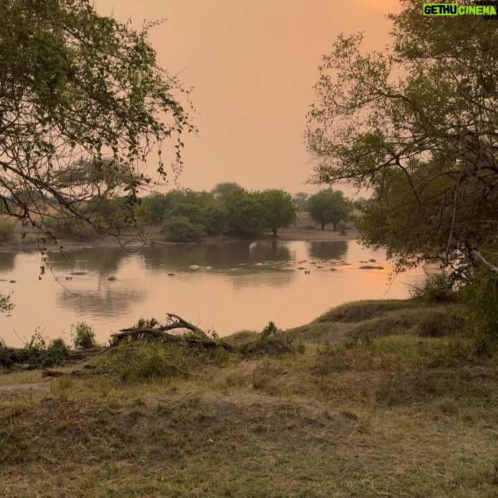 Race Wong - 5K Likes - GRUMETI GOLDEN HOUR 🌅🧡✨
As the sun dips below the horizon in the Grumeti region of the Serengeti, it bathes the sky in vibrant reds and oranges, creating a breathtaking scene over the vast savannah. The warm glow spreads over acacia trees and grasslands, crafting a serene moment in the African wilderness. Nature’s symphony, wildlife silhouettes, and the changing sky colors blend to form a truly mesmerizing Grumeti sunset experience. This isn’t just about visual beauty; it’s about finding tranquility and a profound connection to nature, offering a time for reflection and the creation of enduring memories in one of Africa’s most iconic landscapes 🌅🌞🧡
Wildlife tour guides & Photo credits
@capewildlifesafari @ianjohnsonwild
#africa #tanzania #grumeti #sunset #serengeti #summer #summerholidays #rosannewong #drderekbaram