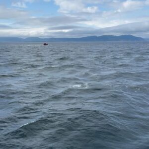 Raquel Sánchez Silva Instagram - Y los fuegos artificiales nos despidieron en Quebec para nuestra última visita en el este de Canadá: TADOUSSAC. Zona de avistamiento de ballenas y focas. Residencia permanente de belugas. Fiordo maravilloso. 
Respecto a las excursiones en barco podéis hacerla en zodíaco o en barco cubierto. Con niños, sin duda, barco porque hace mucho frío en agosto 😂😂😂😂. 
Con estas vistas, regresaremos a Montreal para dirigirnos a las Rocosas. 
Seguimos!! 
#viajeenfamilia
🇨🇦