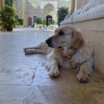 Reem Khoury