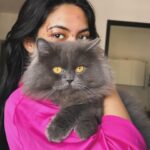 Reem Shaikh