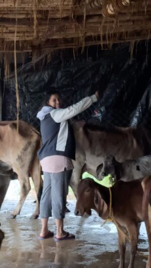 Renu Desai Instagram - Getting fully drenched in the rain never felt so good🩵 Cows are such pure souls and just to be in their presence is so calming🥰