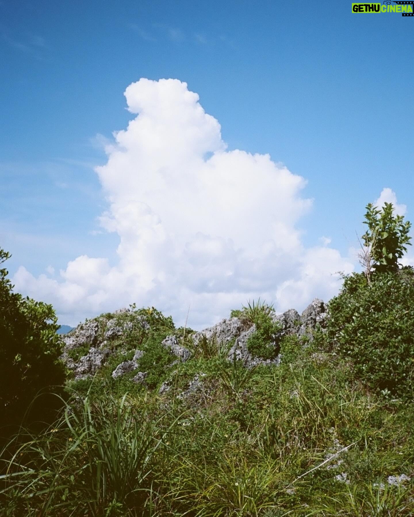 Rila Fukushima - 3 Likes - 🚗 🌳🏞️🚲✨ #okinawa #沖縄