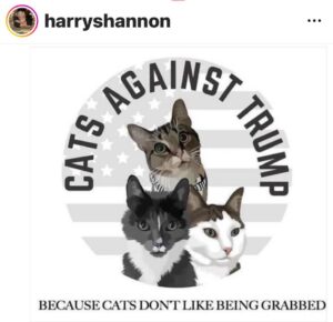 Rosanna Arquette Instagram - 