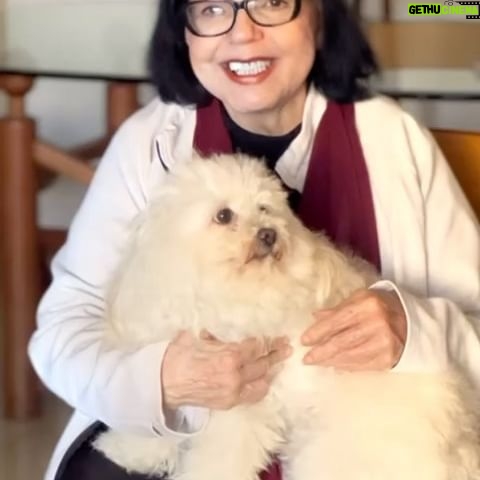 Rosario Prieto - 461 Likes - En Pets Planet 🌎🐾💙nuestro compromiso es garantizar el bienestar de sus animales y facilitarles el acceso a lo que necesiten.
Por eso les informamos que contamos con delivery en Caracas y Valencia🛵🫶🏻.
¡Contáctanos! Y realiza tus compras de alimentación, medicinas, artículos higiene para tu amada mascota💙.
📌Delivery Caracas
0412-7387301
📌Delivery Valencia
0414-4708303
📌Delivery San Diego
0412-7387005
#deliverycaracas #deliveryvalenciavenezuela #tiendademascotas #alimentosmascotas #mascotasfelices🐶❤️