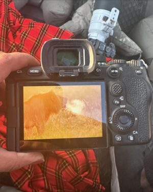 Samyukta Hornad Instagram - Happy #worldphotographyday 🦁