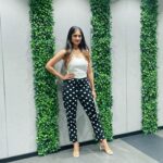 Shamlee