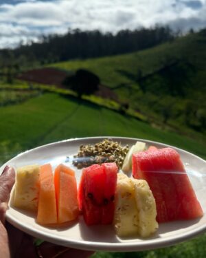 Shanvi Srivastava Instagram - Some places are just meant to experience the calm within you! 
.
.
.
@ayatana.resorts 
[ shanvi srivastava , ooty , travel , love , vacation ]