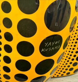 Sheeba Chaddha Instagram - #kensingtongardens 
#kusama 
💜