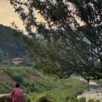 Shin Bong-sun