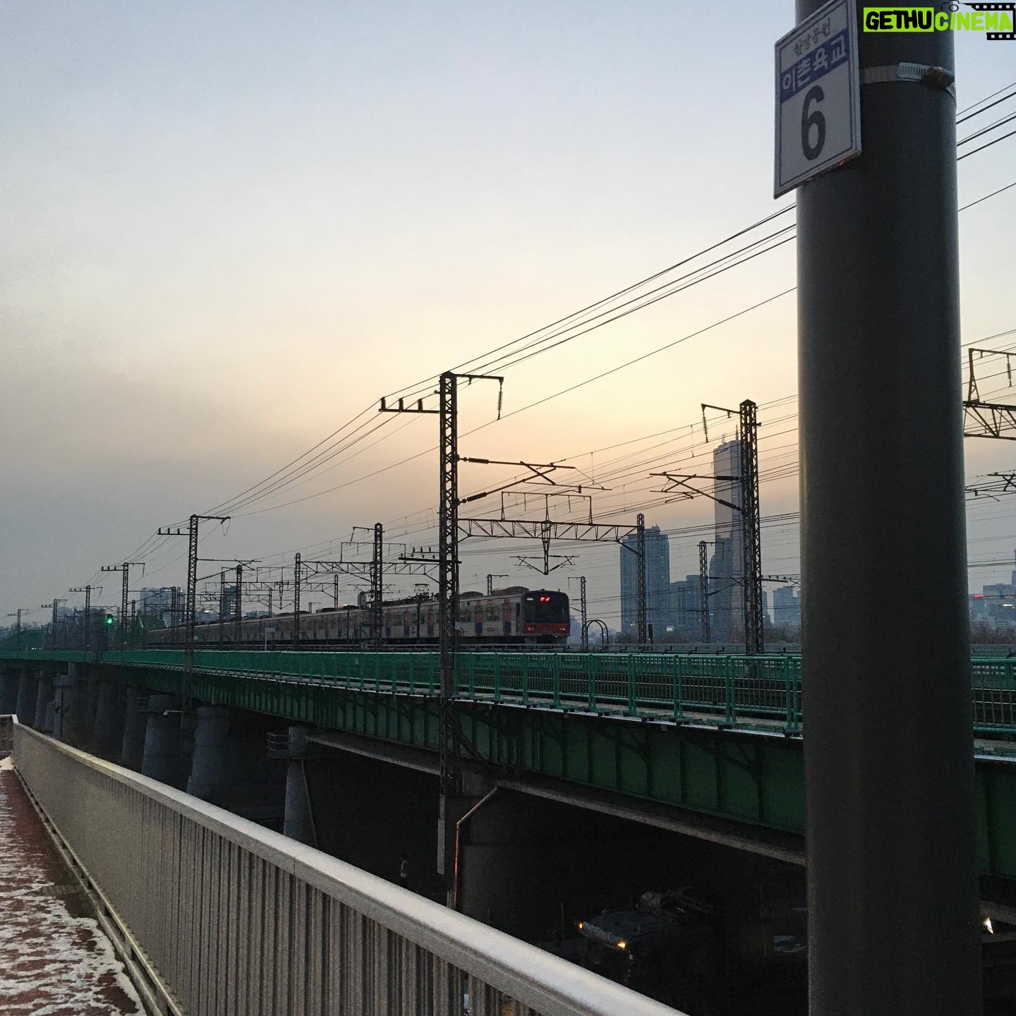Shin Se-hwi - 7.6K Likes - 오늘 한 일 :
언 강에 드러눕기, 육교 한 가운데 주저앉기, 설탕맛이나는 토마토 먹기, 주머니에 장미 넣기