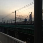 Shin Se-hwi