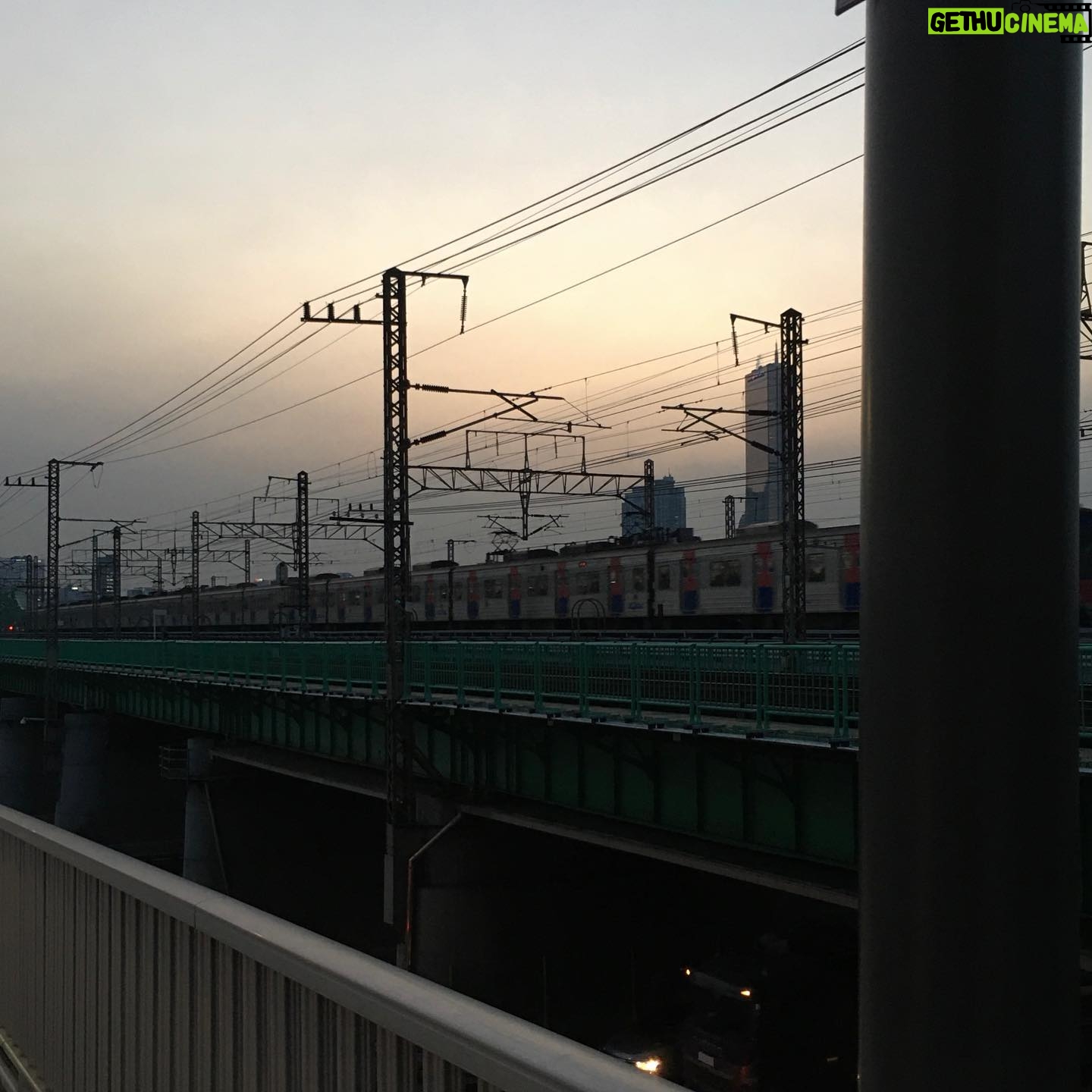 Shin Se-hwi - 7.6K Likes - 오늘 한 일 :
언 강에 드러눕기, 육교 한 가운데 주저앉기, 설탕맛이나는 토마토 먹기, 주머니에 장미 넣기