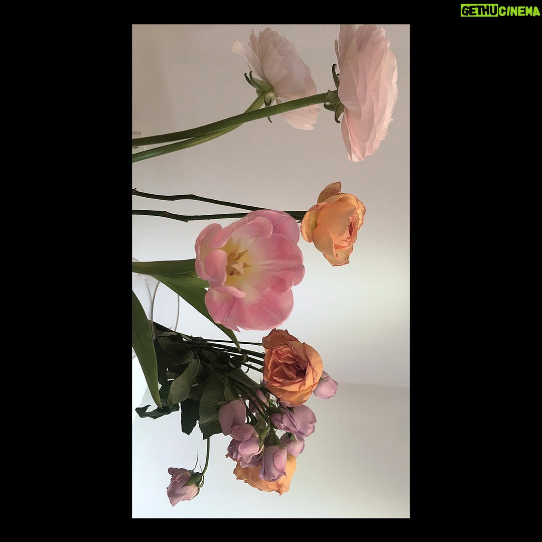 Shin Se-hwi - 8.1K Likes - 평창동 명란젓 포커