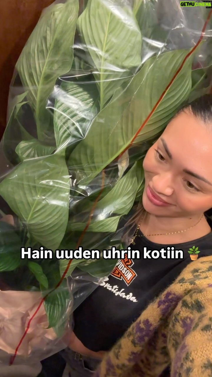 Shirly Karvinen - 1.7K Likes - Elikkäs miten tällänen pidetään hengissä? Hänen edeltäjänsä kesti 2kk. 🥲