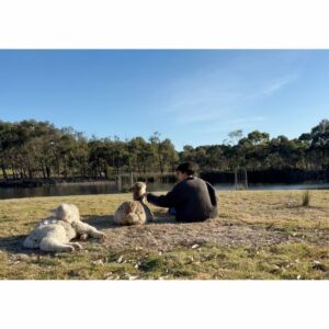 Shizuka Ishibashi Instagram - 🪽HEAVEN🪽