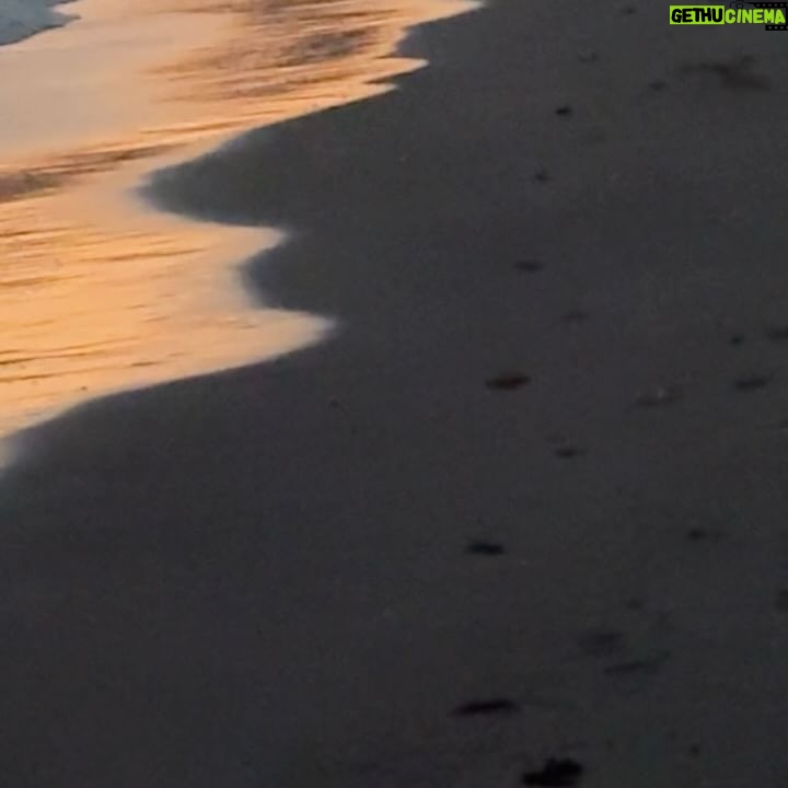 Silvia Mazzieri - 17.8K Likes - Come le onde