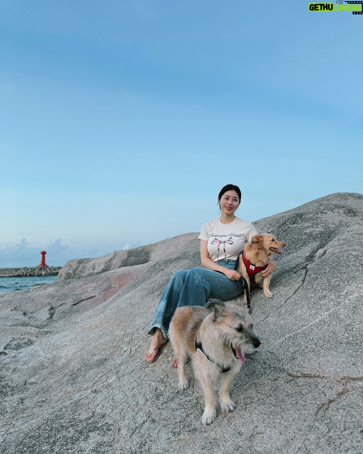Suh Dong-joo - 9.7K Likes - 아침부터 걸려온 엄마의 전화에 갑작스레 떠난 주문진 바다였건만 마침 애견동반이 가능한 바닷가더라구요. 갑자기 텐션업되서 다같이 어린 아이들처럼 뛰어놀고 회에 디저트에 대게까지 잔뜩 먹고 새벽에 돌아왔어요🐶🐶