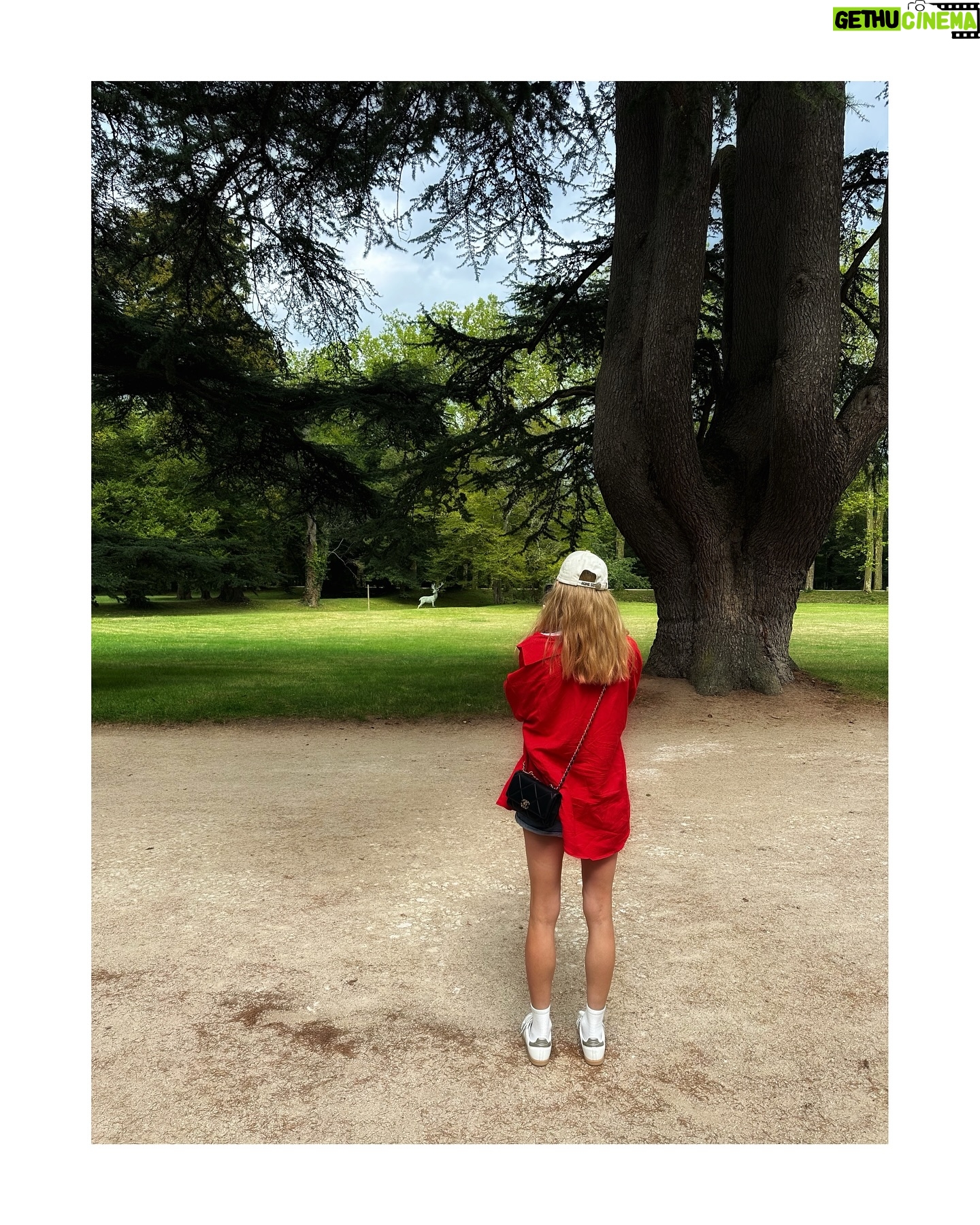 Svetlana Khodchenkova - 9.2K Likes - ……❤️