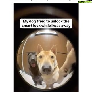 Tamala Jones - 1.7K Likes - π£οΈBad doggy!! πΎπ.. Itβs the time lapse and the entire scene π¬ .. has me weak af !!π©ππ€£π€£π€£π€£π€£πΆπΎ