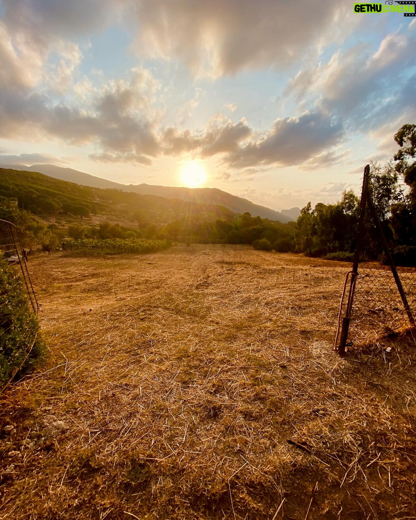 Tembi Locke - 1.8K Likes - Three years ago this week, we shot these final magical and stunning scenes on location Sicily. ~ Moments I lived, then dreamed, then witnessed recreated in art through the wonder of a colossal communal endeavor. ✨The first slide is of a private moment when possibility was whispered into light, a moment when love was promised into the earth. (Oh, let me always know that the fragile and brave heart is capable of so much.) ❤️ Rewatching it takes my breath away. ❤️Today, I offer gratitude to @zoesaldana and @nzingbling for their INCREDIBLE work and to our whole cast and crew who literally made the impossible possible. (Sicily, thank you too!) ✨ And I give a special send up to anyone who is looking for their own sliver of hope and possibility in the midst of the isolation and darkness of loss or caregiving. It’s there, I promise you, it’s there. ✨✨✨