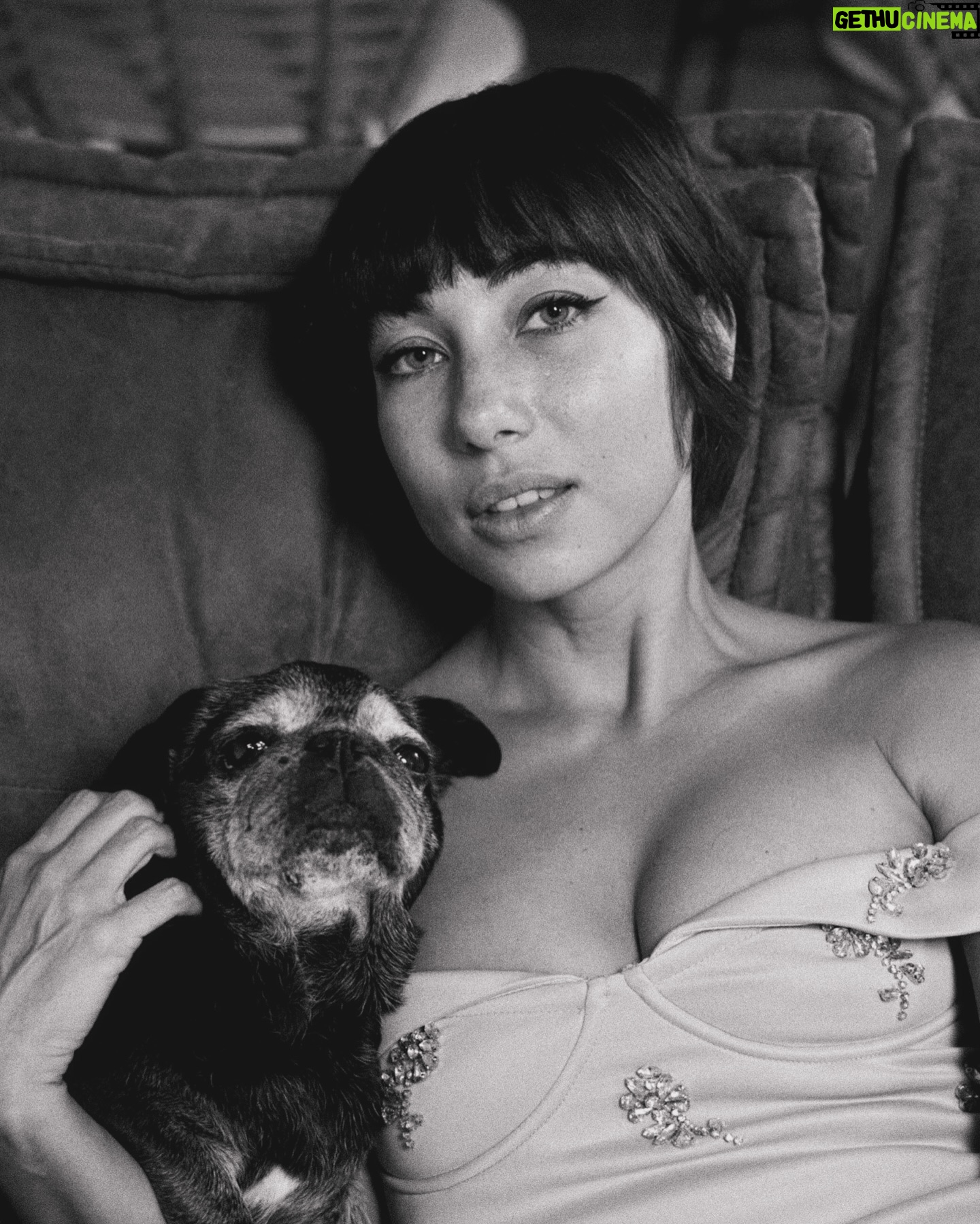 Tess Masazza - 16.2K Likes - Quasi 15 anni di amore puro.
Ps: sì ho tagliato i capelli ancora più corti e ADORO
#carlino #oldpug #shorthair #pixiecut