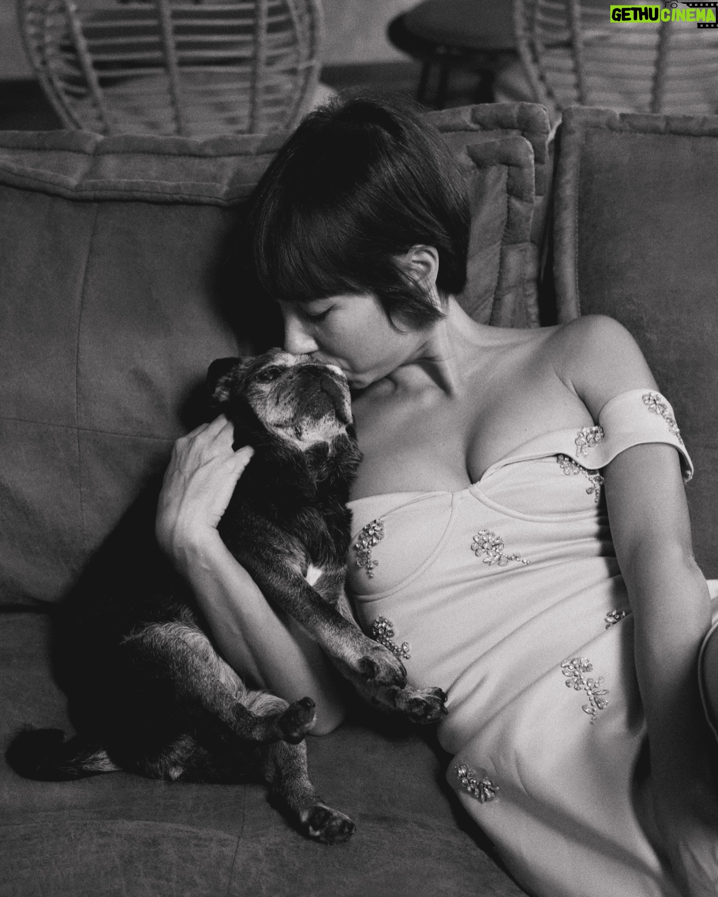 Tess Masazza - 16.2K Likes - Quasi 15 anni di amore puro.
Ps: sì ho tagliato i capelli ancora più corti e ADORO
#carlino #oldpug #shorthair #pixiecut