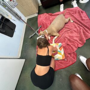 Theresa Marie Mingus Instagram - animals are better than humans. my sweet Nala. crushed 💔  What is there to say to make it any better? Nothing, really. But I will say this: Upon reflection, I think the worst part about it all is that when you love a dog, you love it with the very best version of yourself: the kindest, most patient, most compassionate, most present and joyful, trusting version of who you are and who you ever could be. In theory, the person you are with your dog is the person you wish you could be with everyone, all the time, except the rest of the world is too careless to be trusted with something so precious. And then when you lose the dog, it feels like you’ve also lost that part of yourself that you were able to be, too. But here’s the thing: yes, you had to say goodbye. But it doesn’t mean that you have to say goodbye to who she taught you to be and how she taught you to love. She gave you those qualities in earnest, with her whole life, and you can take those with you as you move forward.

these are the moments where time moves the slowest, when you wish that this too would just hurry up and pass. Try and channel your grief into gratitude bc the amount of grief felt is equal to the amount of love given. And that’s beautiful.