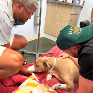 Theresa Marie Mingus Instagram - animals are better than humans. my sweet Nala. crushed 💔  What is there to say to make it any better? Nothing, really. But I will say this: Upon reflection, I think the worst part about it all is that when you love a dog, you love it with the very best version of yourself: the kindest, most patient, most compassionate, most present and joyful, trusting version of who you are and who you ever could be. In theory, the person you are with your dog is the person you wish you could be with everyone, all the time, except the rest of the world is too careless to be trusted with something so precious. And then when you lose the dog, it feels like you’ve also lost that part of yourself that you were able to be, too. But here’s the thing: yes, you had to say goodbye. But it doesn’t mean that you have to say goodbye to who she taught you to be and how she taught you to love. She gave you those qualities in earnest, with her whole life, and you can take those with you as you move forward.

these are the moments where time moves the slowest, when you wish that this too would just hurry up and pass. Try and channel your grief into gratitude bc the amount of grief felt is equal to the amount of love given. And that’s beautiful.
