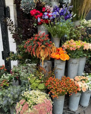 Tonia Sotiropoulou Instagram - London and new beginnings ❤️ 🇬🇧

#london #september #naturelover #friends #flowers