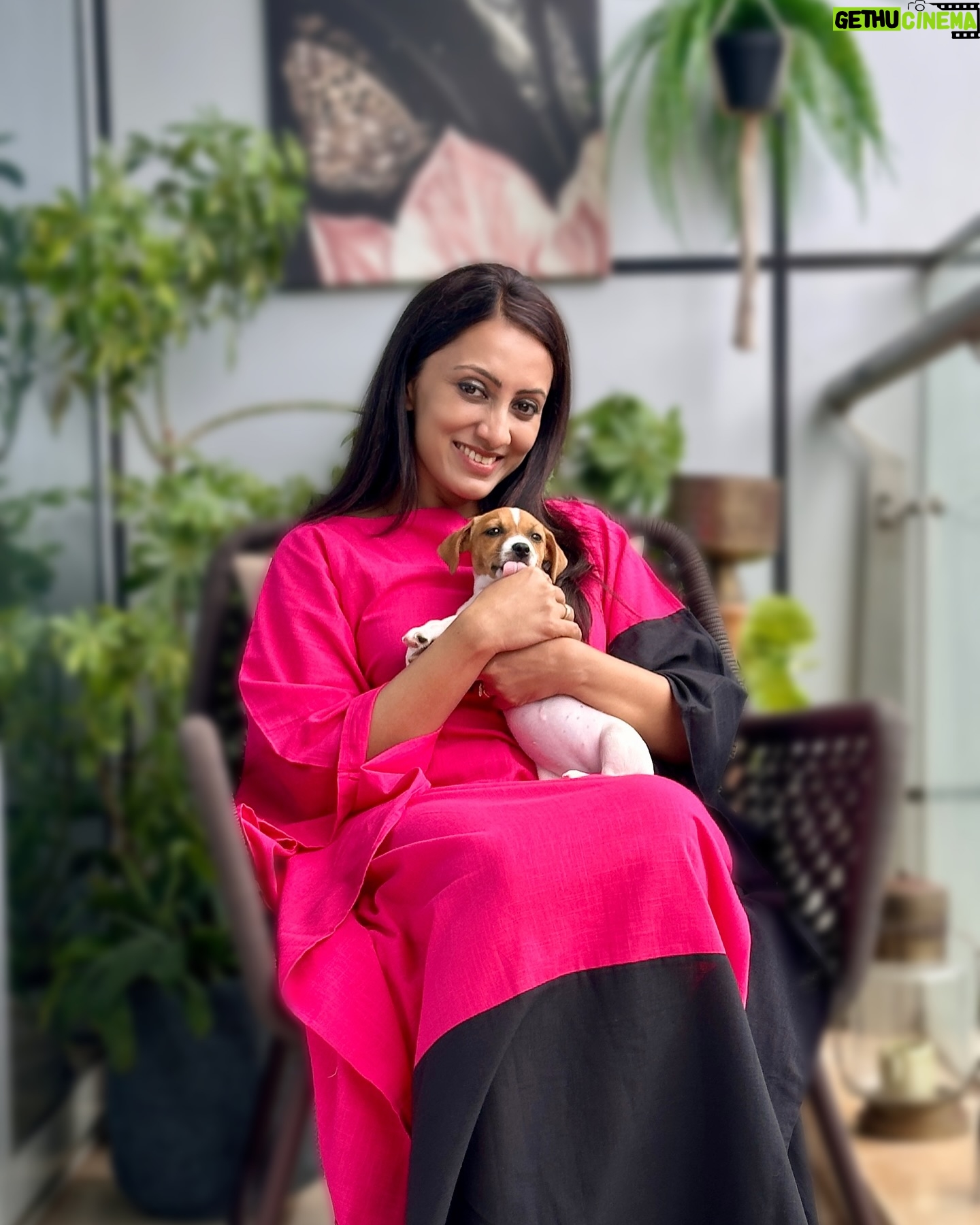 Vandana Lalwani - 5.3K Likes - Paw-sitively grateful 🐾♥️
With this bundle of joy #miso @gungunuprari s pet.
Wearing @unidraa kaftan 💖
#sunday #puppy #puppylove #jackrussell #kaftan #vandanalalwani #home #monsoon