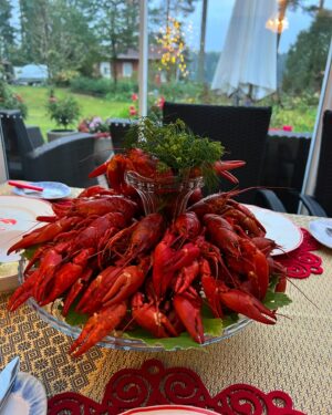 Vappu Pimiä Instagram - Eilen vietettiin perinteiset Huuhtasen perheen rapujuhlat Kuopiossa.🦞🦞🦞 
Tytöt olivat vastuussa ohjelmasta ja he järjestivätkin upeat Rapujuhla Olympialaiset, joissa lajeina oli mm. keski-aikaan keskittynyt tietovisa sekä kynän ja tulitikun heitto. Erkki Metsola vei voiton ja palkintona hän sai osallistua tyttöjen suunnittelemaan päätös tanssinumeroon😍🔥⭐️🕺
#rapujuhlat #crayfishparty #perhejuhla