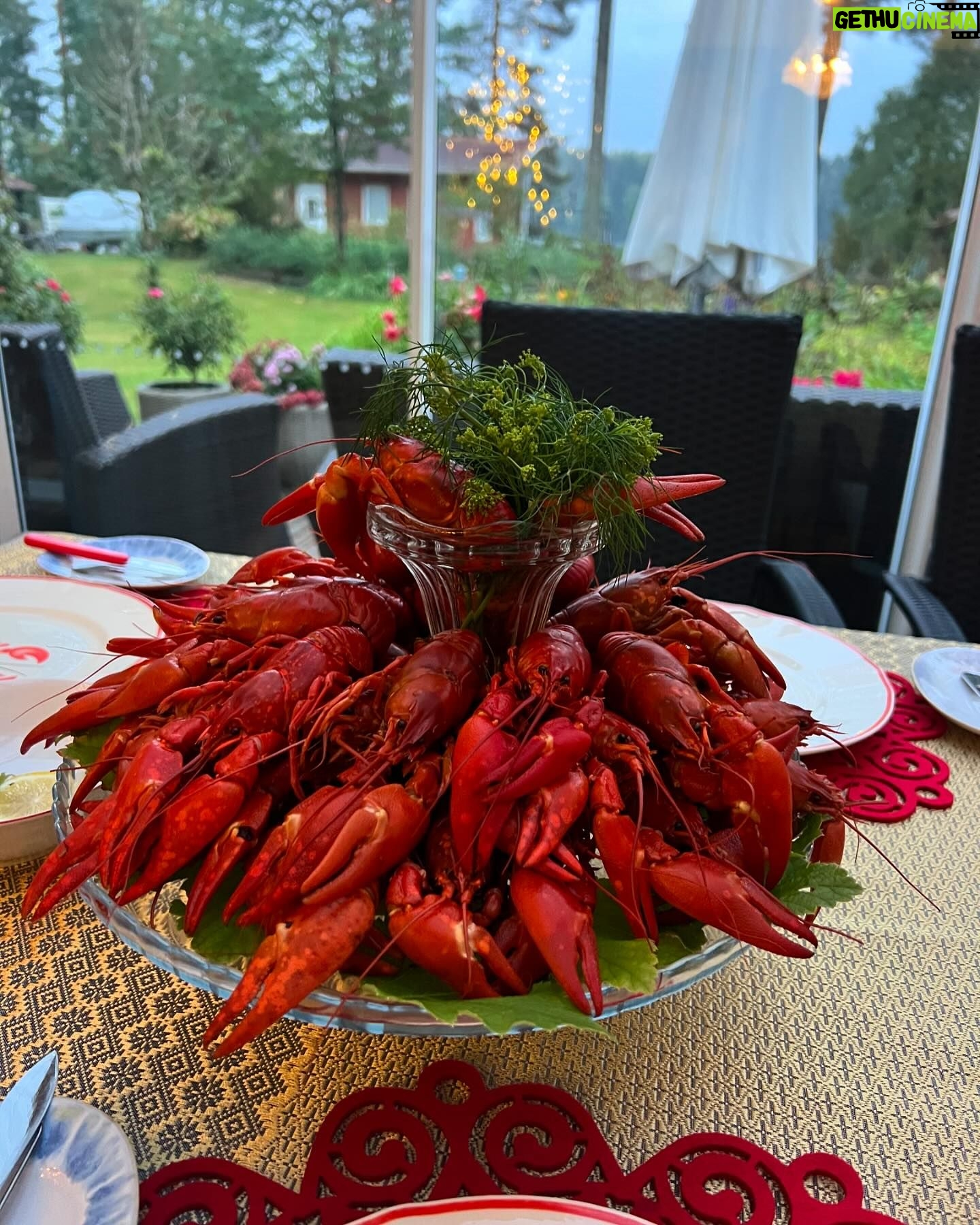Vappu Pimiä - 8.3K Likes - Eilen vietettiin perinteiset Huuhtasen perheen rapujuhlat Kuopiossa.🦞🦞🦞
Tytöt olivat vastuussa ohjelmasta ja he järjestivätkin upeat Rapujuhla Olympialaiset, joissa lajeina oli mm. keski-aikaan keskittynyt tietovisa sekä kynän ja tulitikun heitto. Erkki Metsola vei voiton ja palkintona hän sai osallistua tyttöjen suunnittelemaan päätös tanssinumeroon😍🔥⭐️🕺
#rapujuhlat #crayfishparty #perhejuhla