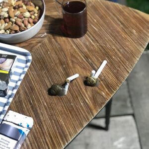 Veda Yurtsever Instagram - Bi iki fotoğraf koyayım diye telefonumu karıştırırken gözüme gelenler… #yaz