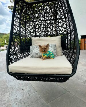 Verónica Montes Instagram - SAN MIGUEL 🇲🇽❤️SIEMPRE ES UNA BUENA IDEA!! 

#aqualover #veronicamontes #viajar #liveaquasanmiguel #sanmigueldeallende #sanmiguel #mexico