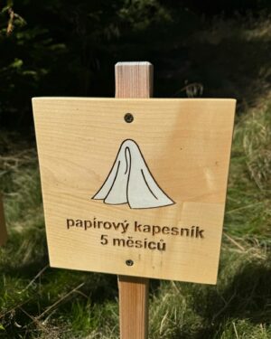 Veronika Khek Kubařová Instagram - JÁ TOMU NEROZUMÍM!
Velká část tras v Krkonoších je zase lemovaná touto bílou spouští❗️
A já se ptám: 
PROČ❓
Proč je tak težké po sobě uklízet⁉️
Nabízím řešení:
•ráda bych připomněla hashtag #oklepfrndu
•použité kapesníčky uložit do sáčku, nést si v batohu a u koše vše vyhodit
•nejde-li jinak-ZAHRABAT, PŘEKRÝT ŠIŠKOU, KAMENEM (papírový kapesník se rozkládá 5 měsíců, vlhčené ubrousky do půdy absolutně nepatří)
•u velké potřeby se dá nohou vykopnout ďolík a vše následně zahrabat

U odpadků (plechovky, pet lahve, obaly) platí srozumitelné heslo “co si přinesu, to si odnesu”.
Nervěme přírodě do chřtánu ty hnusy. Musí to pak “žvejkat” opravdu dlouho, aby se toho zbavila.

Děkuju za pochopení a vyslyšení;)

#nebuďčuně
#zvířatatoumí
