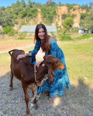 Vivana Singh Instagram - Wish everyone a very blessed KRISHNA JANAM ASTAMI 🦚🦚💙🦚🦚🙏🏻! 
My mother loved cows . She was a daughter of a farmer ❤️. Coz of her earthy connectivity n humble nature the sanskar got initiated in me n my brother 🙏🏻🦚. Shared some pics of my love for cows. There is one very special pic of Ma kamdhenu ( cow’s name ) I was fortunate to meet her at Babaji’s ashram . She was so calm n loving that I could touch her n keep my head over her’s . Now she has gone to heaven n giving company to my ma ❤️🦚❤️🙏🏻. ( I m sure they both are happy and at peace ) . Most painful experience of my life to not have ma besides me but I will always celebrate my mother till I live 🧿🙏🏻🦚🙏🏻