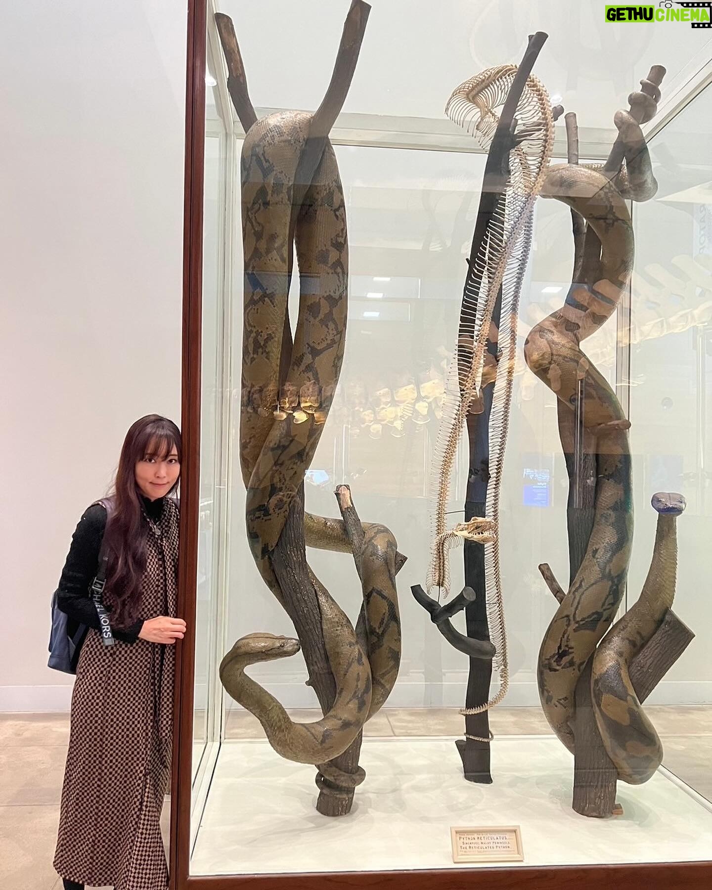 Yoko Hikasa - 7.7K Likes - 🖐️
土曜日は
朝カフェでテイクアウェイしてピクニック🧺
博物館と大聖堂見てお仕事したあと
マリナとサンセットビーチ!
写真逆詐欺のめちゃでかご飯食べて
お散歩して現地スーパー寄って観覧車乗りました✨
#走る走るおれたち
#マリナカメラがあると走り出すわたし