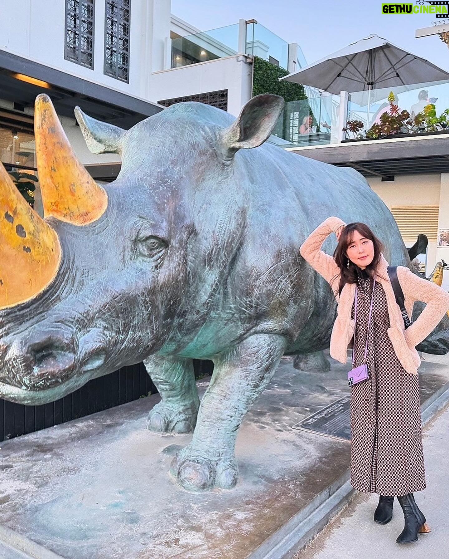 Yoko Hikasa - 7.7K Likes - 🖐️
土曜日は
朝カフェでテイクアウェイしてピクニック🧺
博物館と大聖堂見てお仕事したあと
マリナとサンセットビーチ!
写真逆詐欺のめちゃでかご飯食べて
お散歩して現地スーパー寄って観覧車乗りました✨
#走る走るおれたち
#マリナカメラがあると走り出すわたし